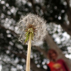 PB231476a.jpg